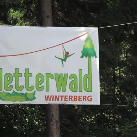 Winterbergerstrasse 27 Appartamento Winterberg